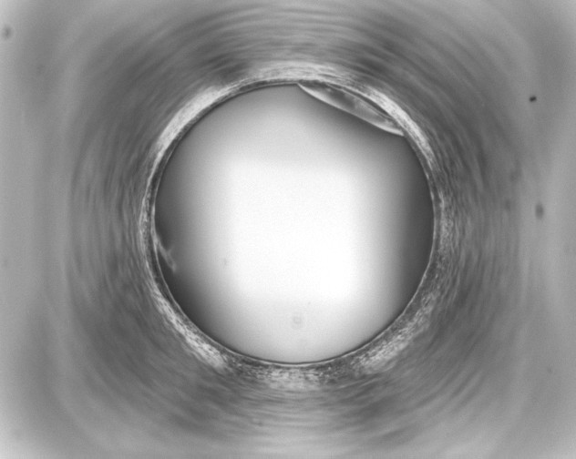 X0000087630901200705181457