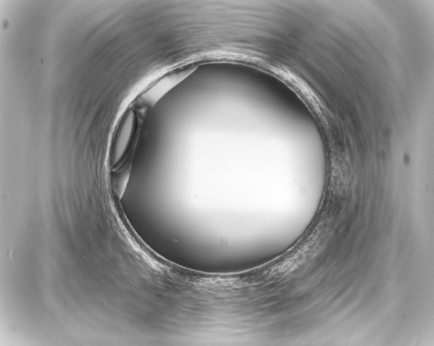 X0000087630902200705181457