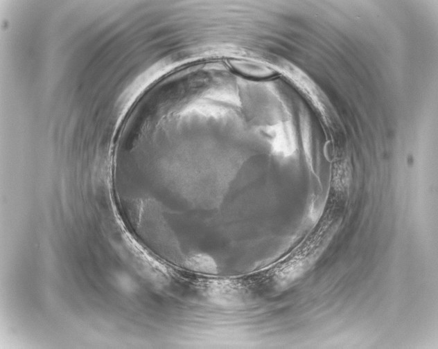 X0000087630903200705181457