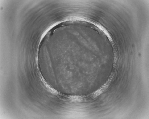 X0000087630904200705181457