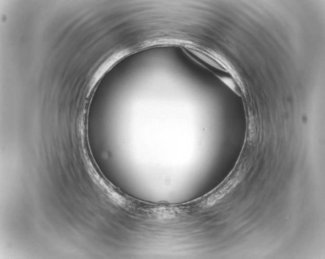 X0000087630906200705181457