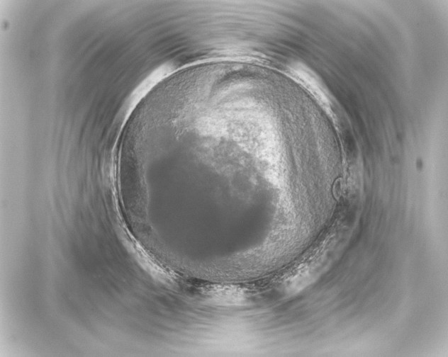 X0000087630907200705181457