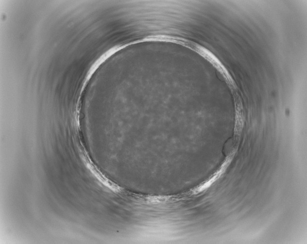 X0000087630908200705181457