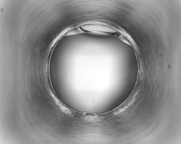 X0000087630909200705181457