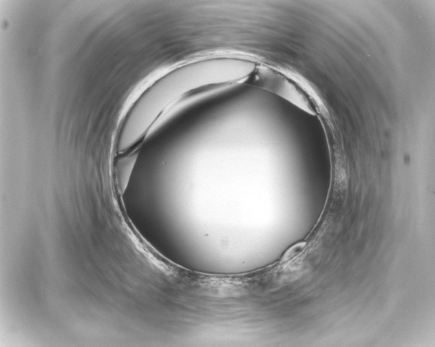 X0000087630910200705181457