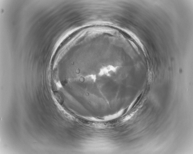 X0000087630911200705181457