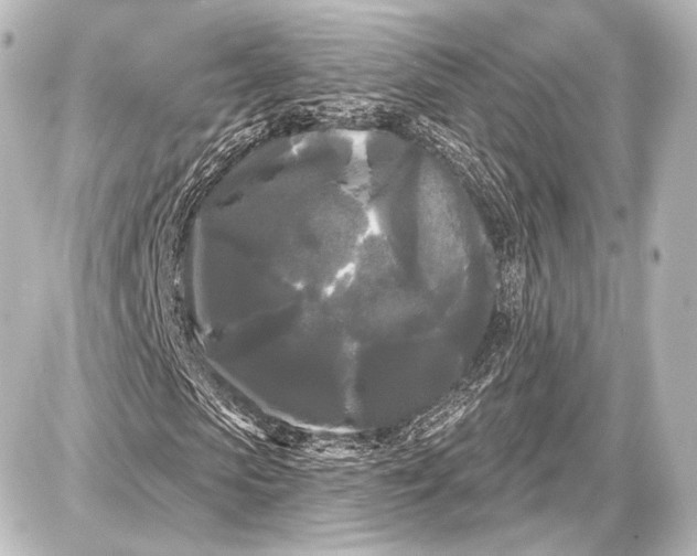 X0000087630913200705181456