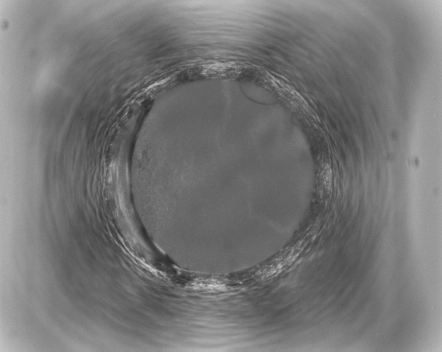 X0000087630914200705181456