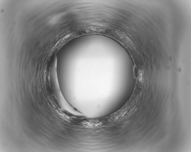 X0000087630915200705181456