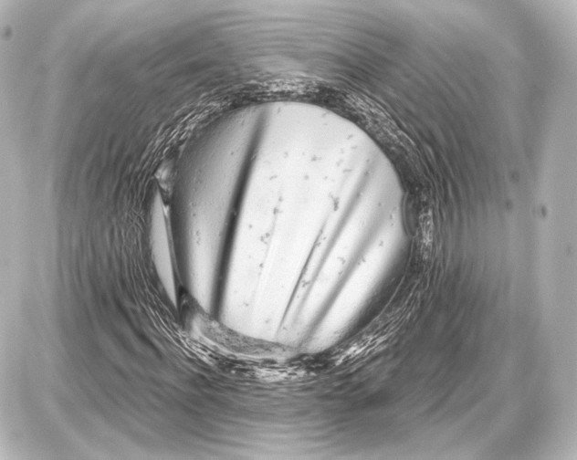 X0000087630916200705181456