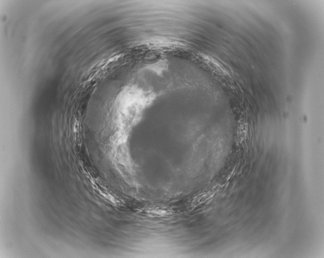 X0000087630917200705181456