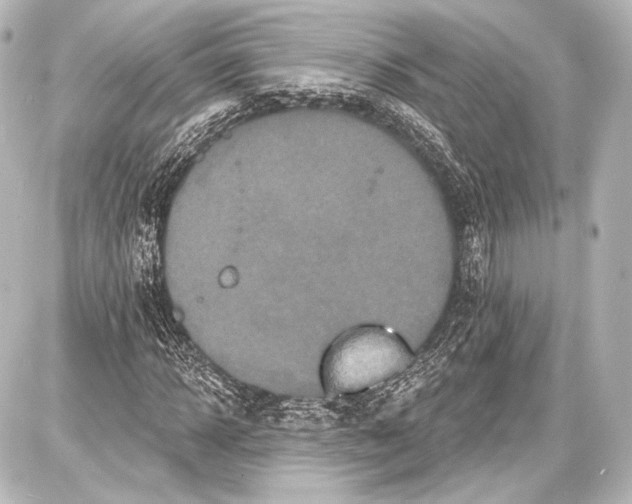 X0000087630918200705181456