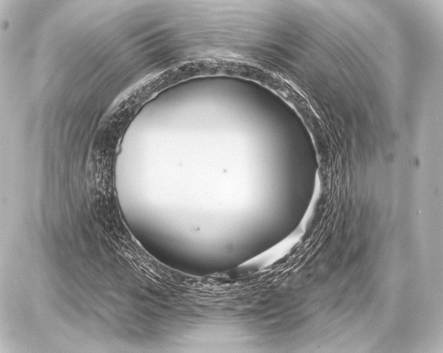 X0000087630919200705181456