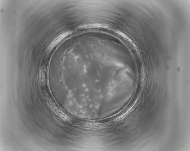 X0000087630921200705181456