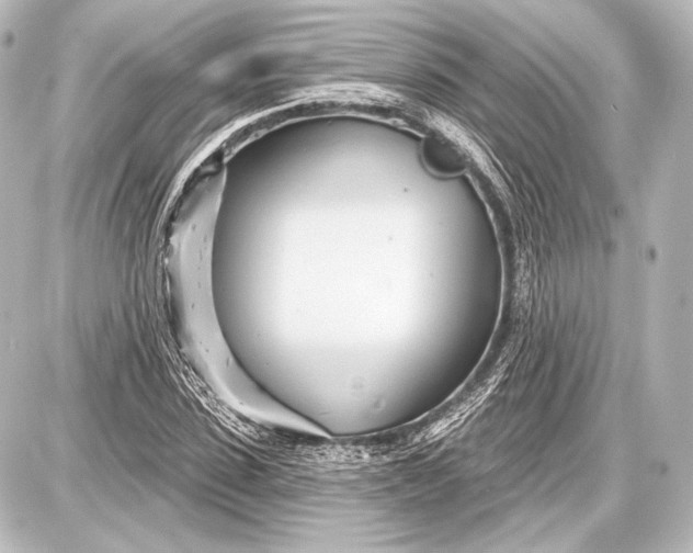 X0000087630923200705181456