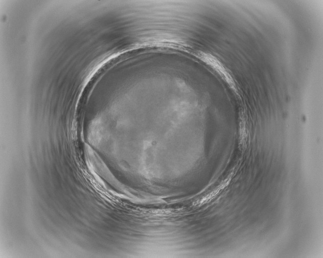 X0000087630924200705181456