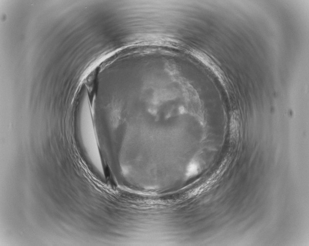 X0000087630925200705181456