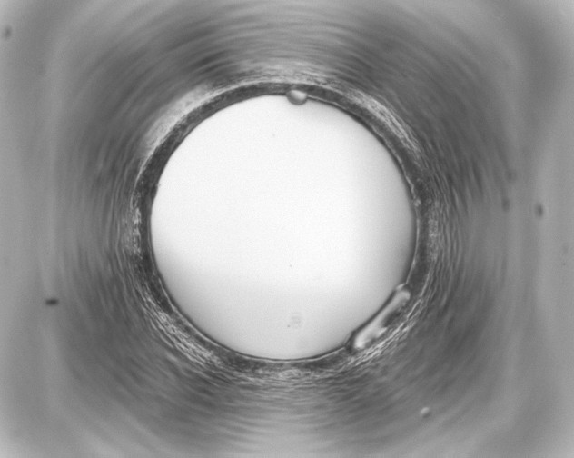 X0000087630926200705181457