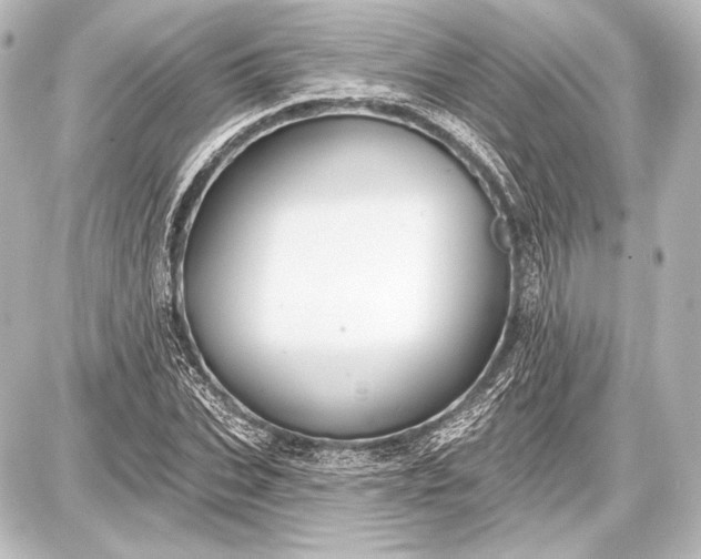 X0000087630927200705181457