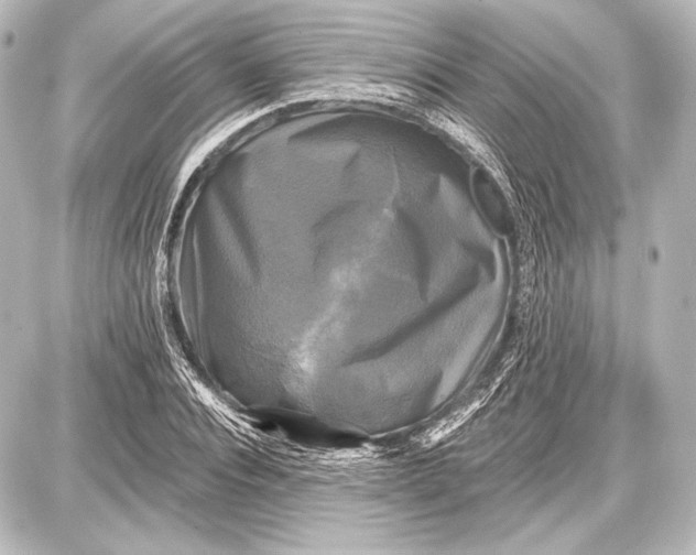 X0000087630928200705181457