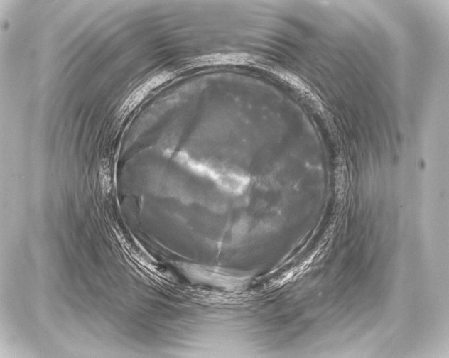 X0000087630929200705181457