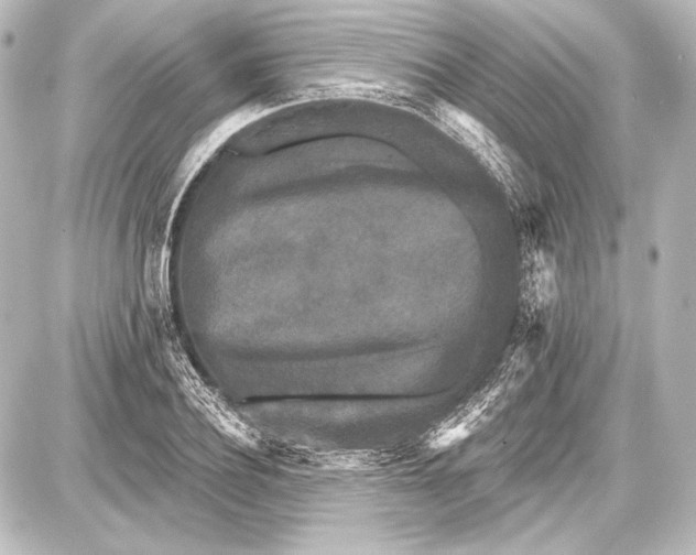 X0000087630932200705181457