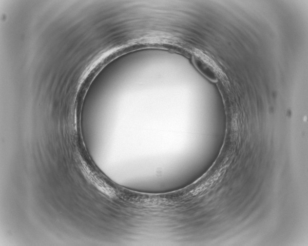 X0000087630934200705181457