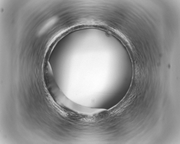 X0000087630935200705181457