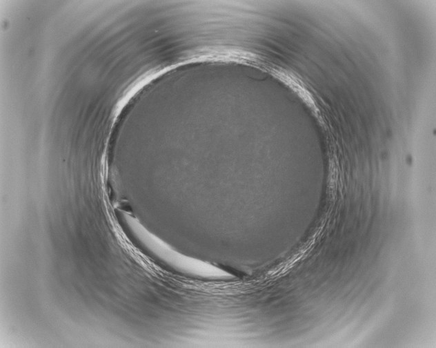 X0000087630936200705181457