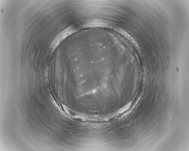 X0000087630937200705181457