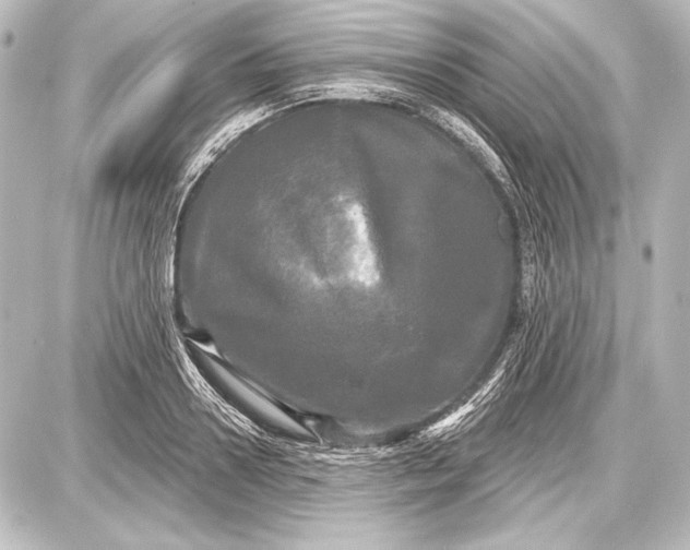 X0000087630938200705181457