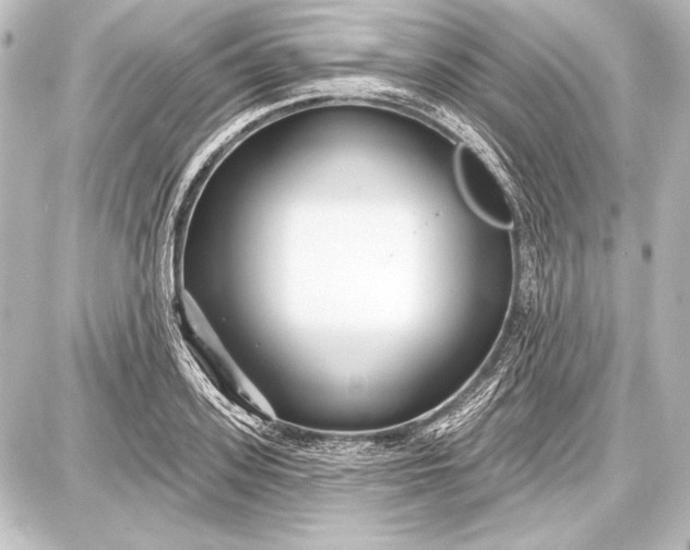 X0000087630939200705181457