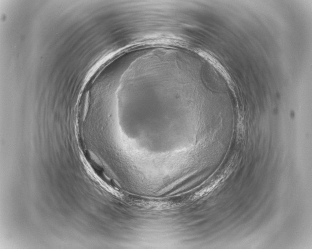 X0000087630941200705181457