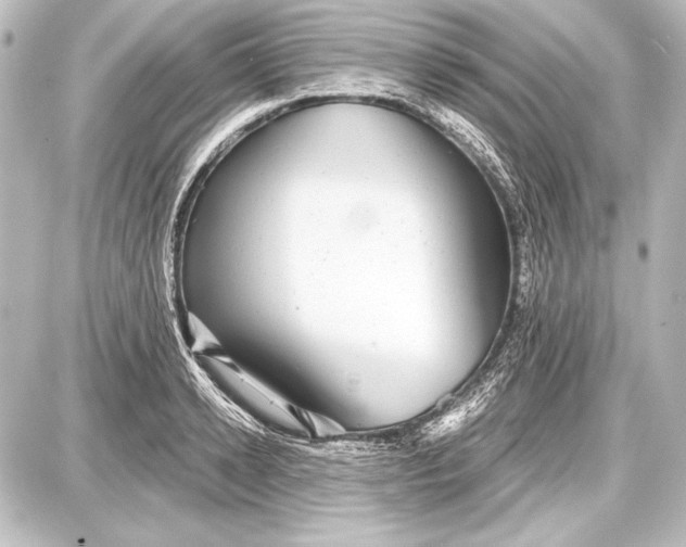 X0000087630942200705181457