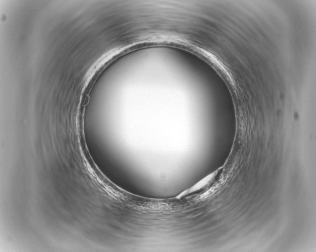 X0000087630943200705181457