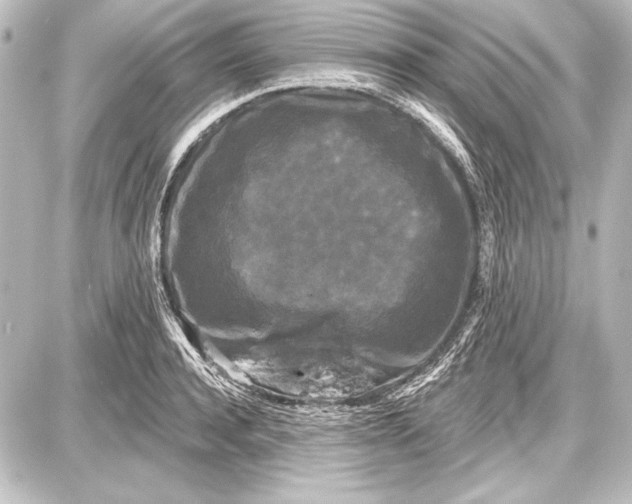 X0000087630944200705181457