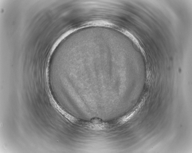 X0000087630947200705181457