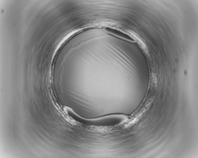 X0000087630948200705181457