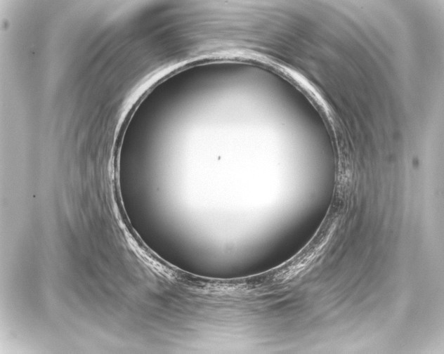 X0000087630951200705181457