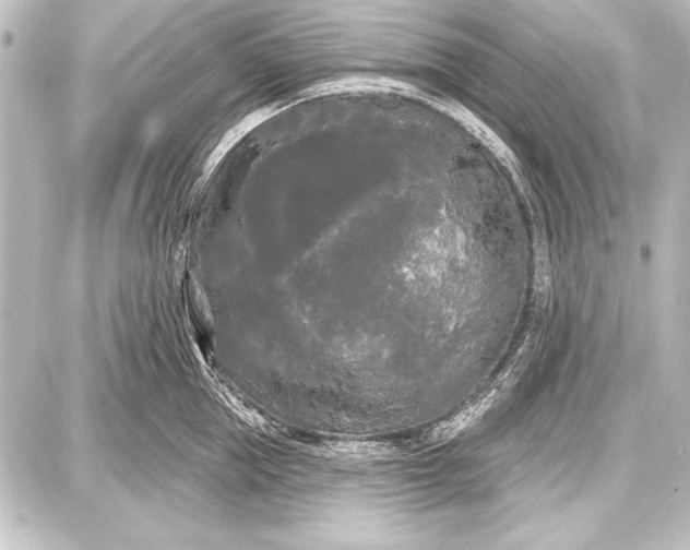 X0000087630953200705181457