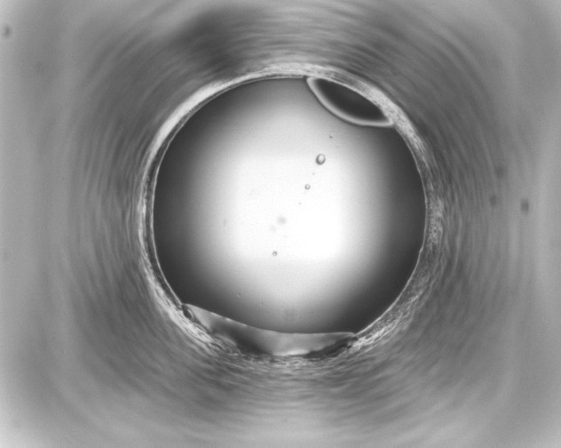 X0000087630955200705181457