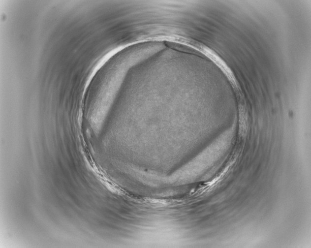 X0000087630956200705181457