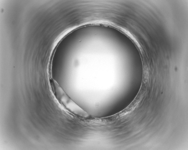 X0000087630959200705181457