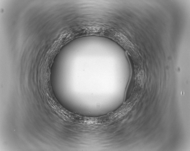 X0000087630961200705181456