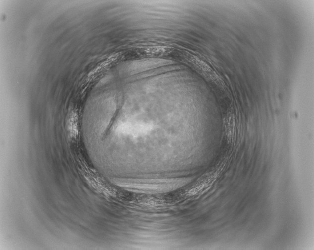 X0000087630962200705181456