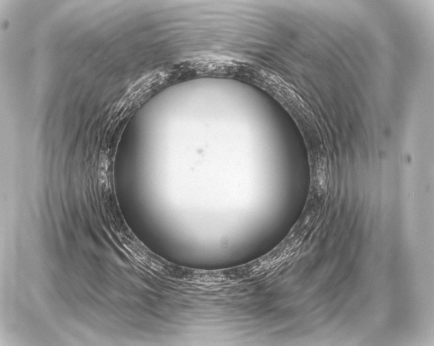 X0000087630964200705181456