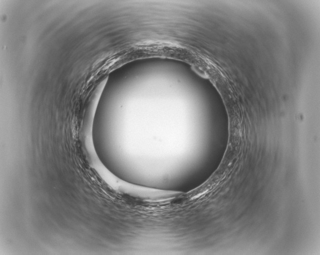 X0000087630965200705181456