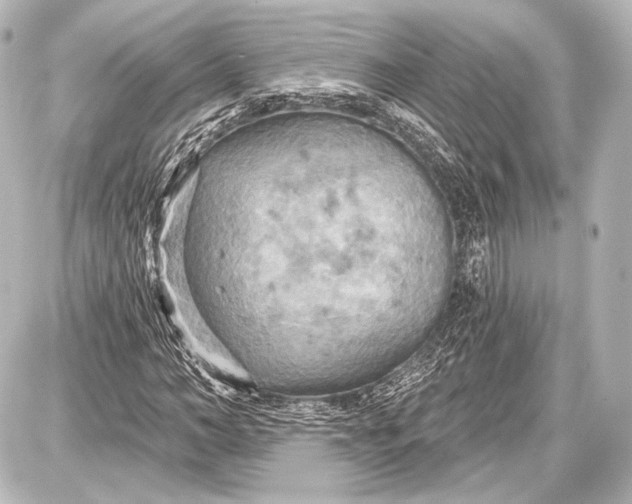 X0000087630966200705181456