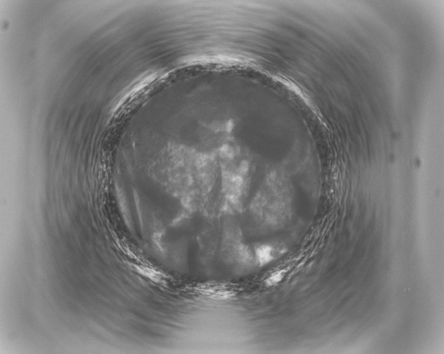 X0000087630967200705181456