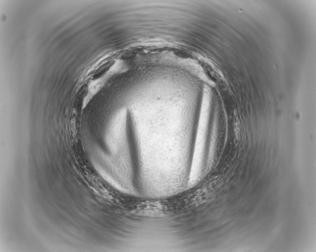 X0000087630968200705181456